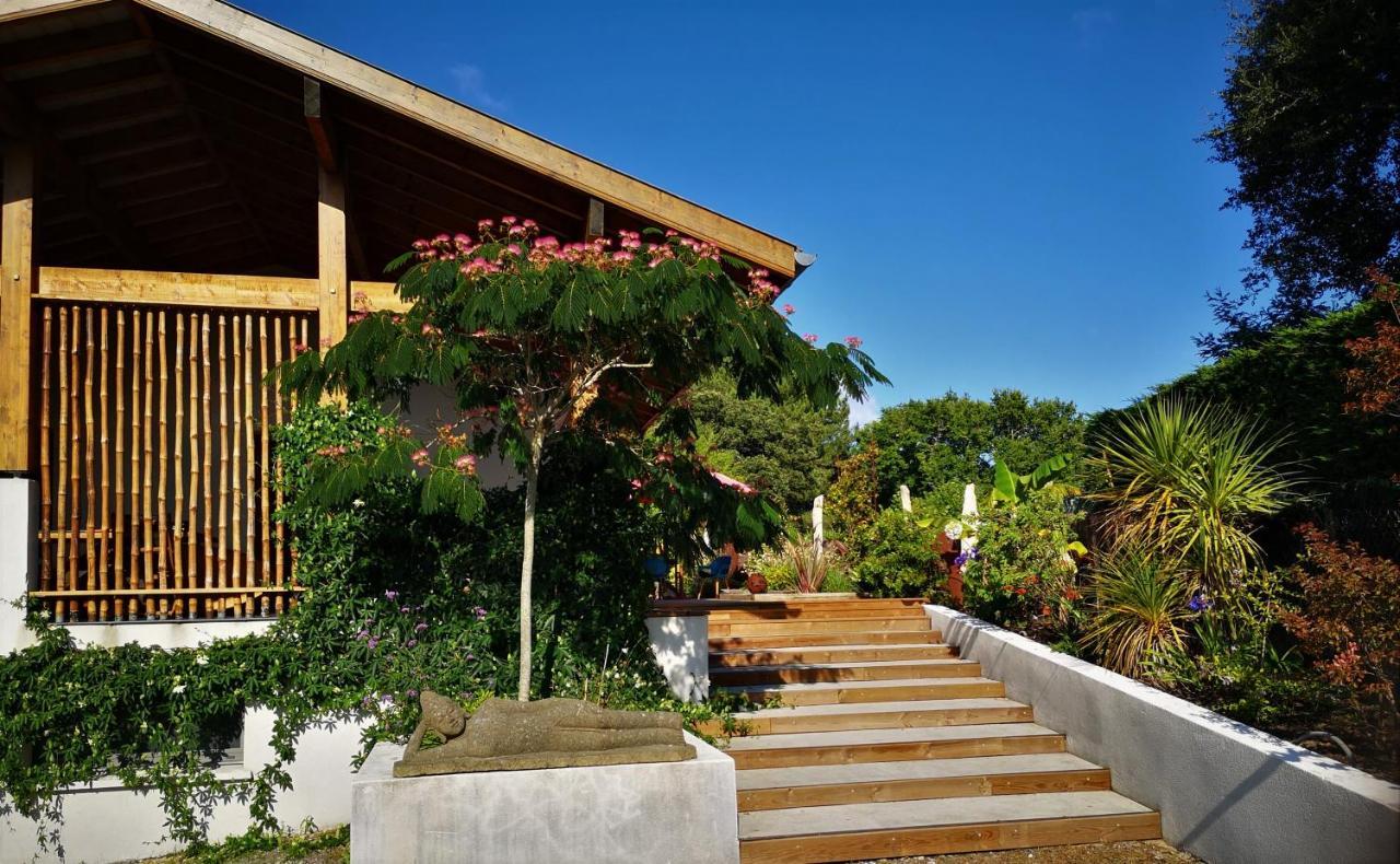 Villa Hossegor - 4 Etoiles, 6 Chambres - 5 Salles De Bains - Piscine Chauffee 5 Mn Des Plages Soorts-Hossegor Exterior foto